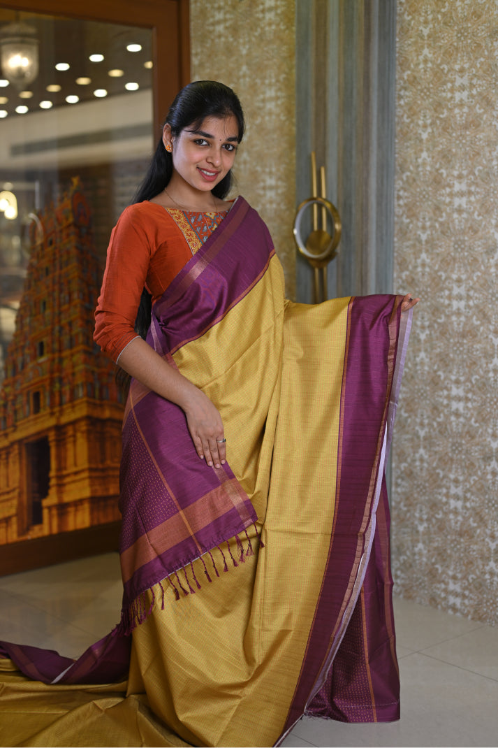 Manipuri Sarees with All-Over Body Horizontal Lines