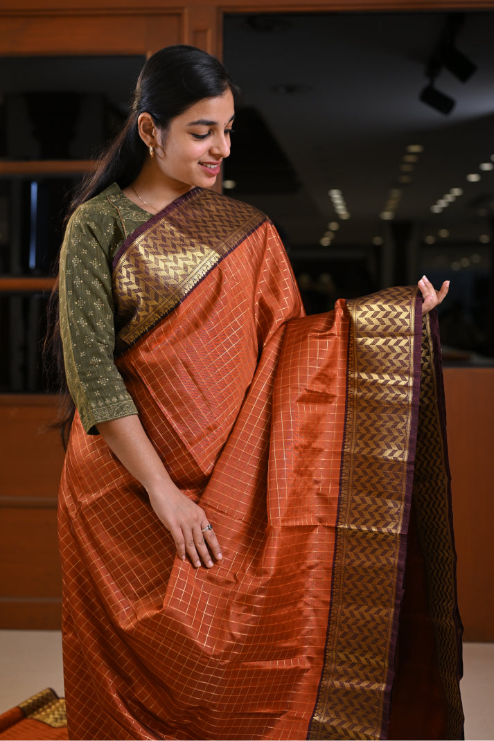 Vintage Colour Combination Saree with Allover Body Golden Zari With Checked Design